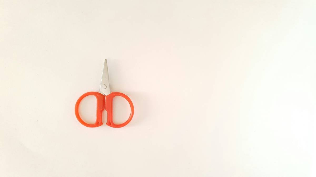 Side-by-side comparison of high-quality grooming nail scissors vs. low-quality imitations showing blade sharpness, tip precision, and material finish